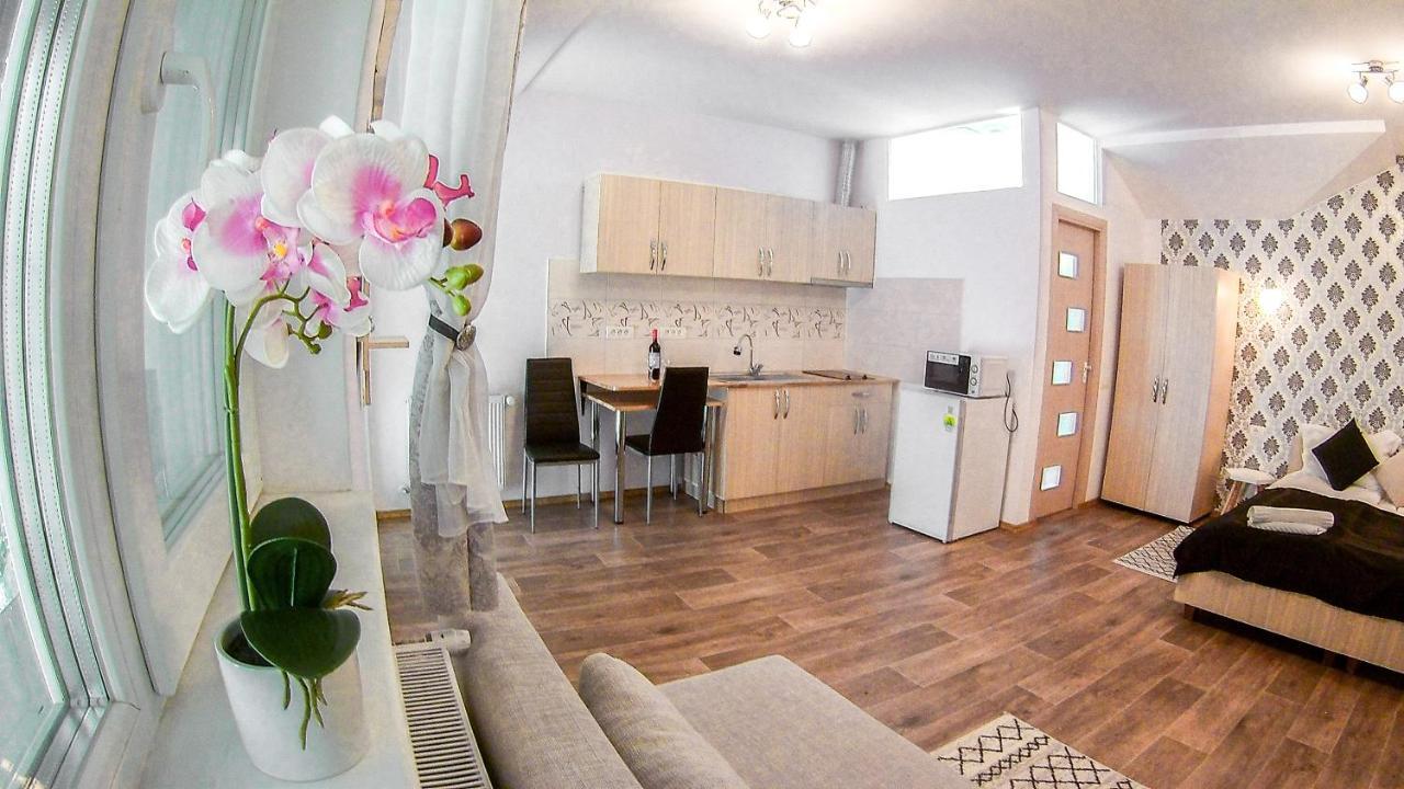 Nice & Cozy Apartments Timisoara Exterior photo