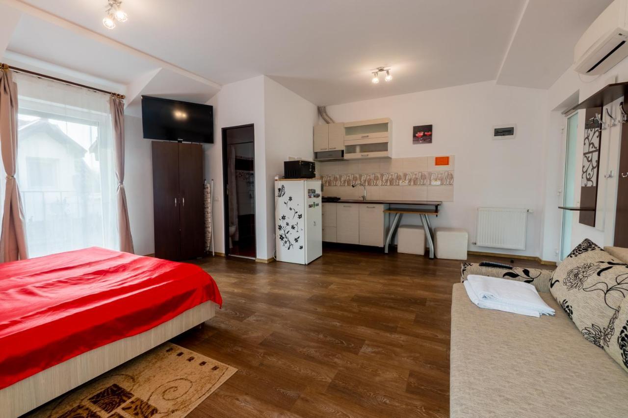 Nice & Cozy Apartments Timisoara Exterior photo